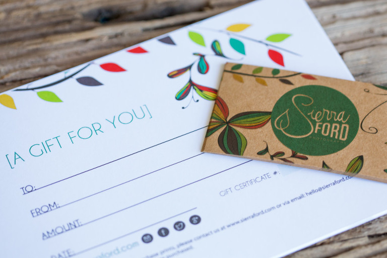 Photography, Business Cards, Sierra Ford Photography