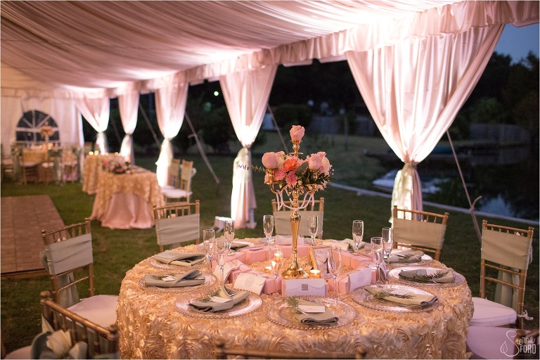 Florida photographer,Orlando Wedding Photographer,Tavares Pavilion Wedding,Tavares Photographer,