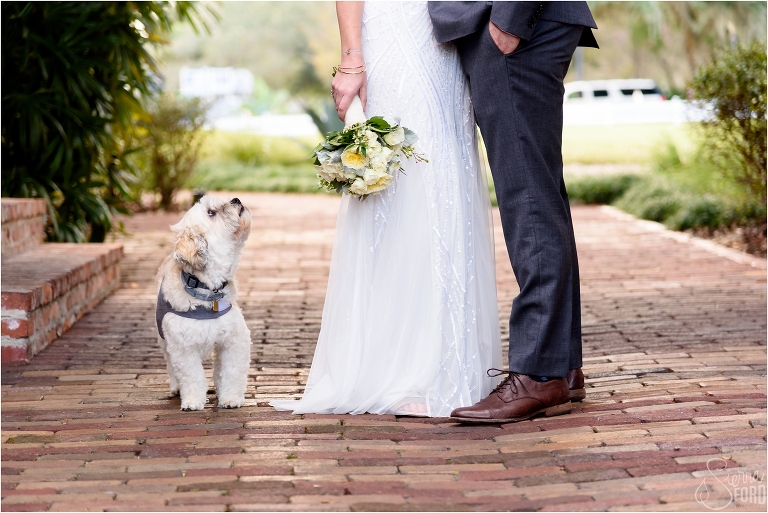 DogonWeddingDay