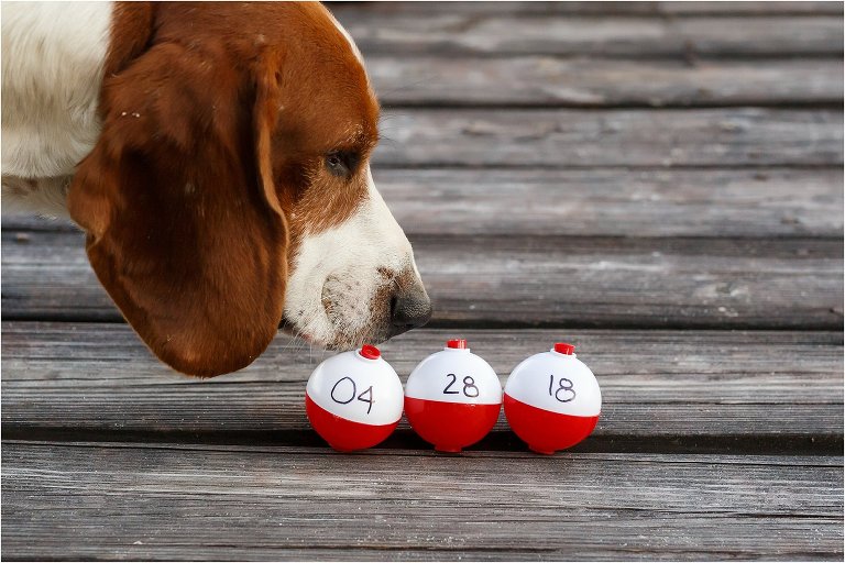 Surprise dog visitor sniffing their fishing bobs with their wedding date