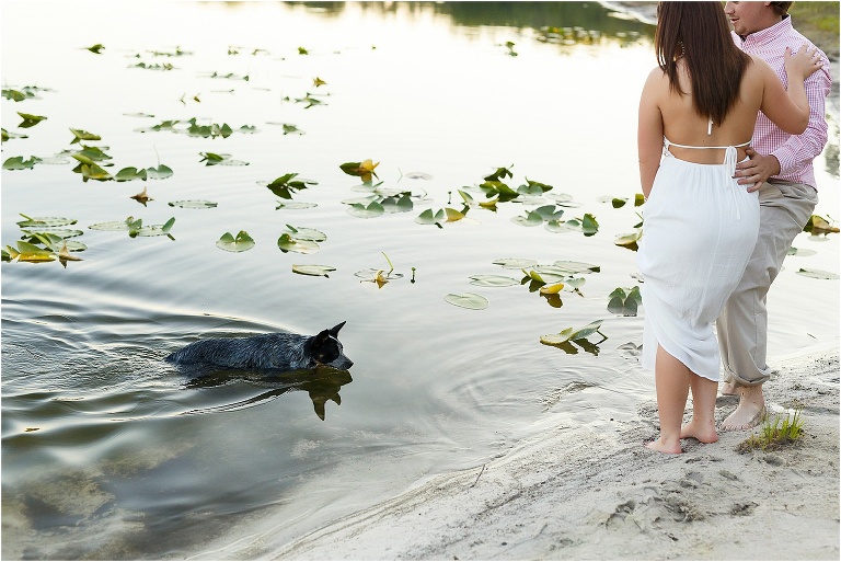 Small dog swims up to couple on the beach
