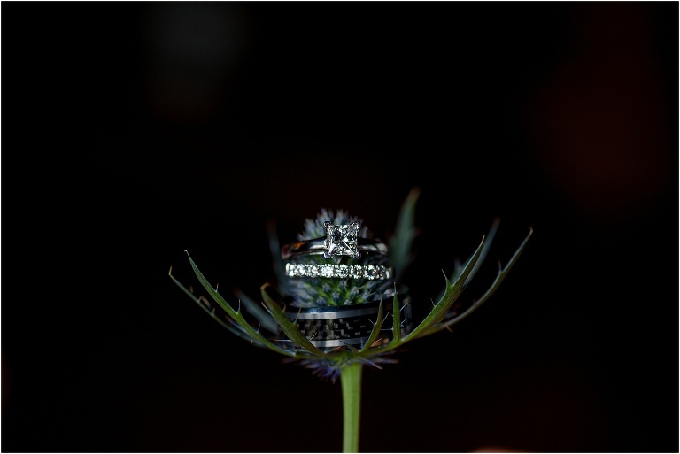 the rings sit on top of a blue and green wildflower