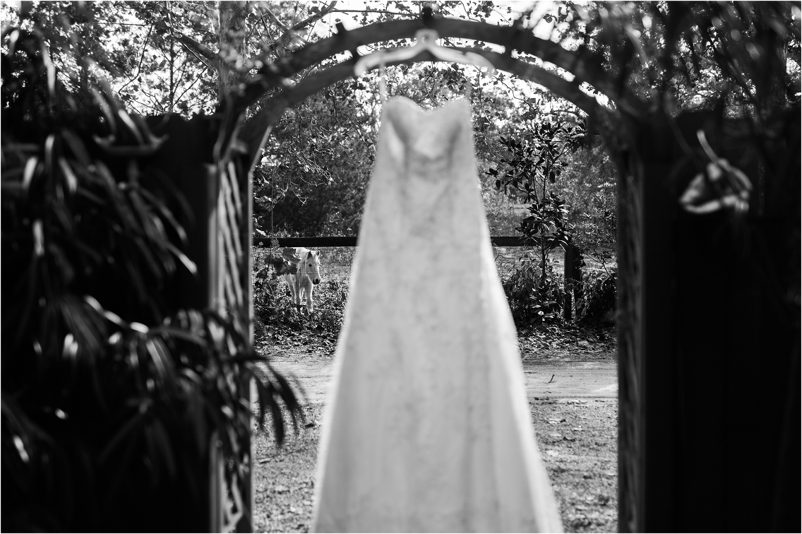 Danielle Daniel Elegant Harmony Gardens Wedding Orlando