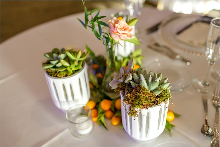 cute little succulent plants placed on each table at the reception