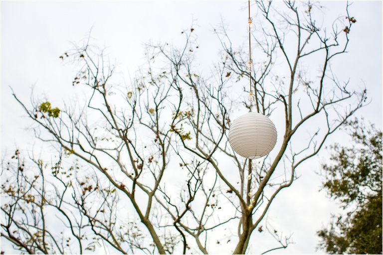 Gorgeous market lights with white lanterns hung by Tampa Lights kept the reception glowing even after the sun went down