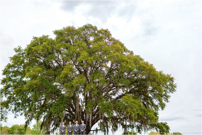 tiny people, big sky. the groom & his groomsmen stand beneath the massive oak tree on the Bakers Ranch property