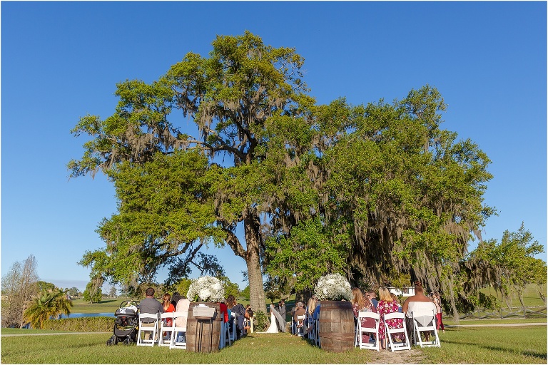 the massive oak tree where the bride & groom exchanged vows under during their Cottom Farm wedding