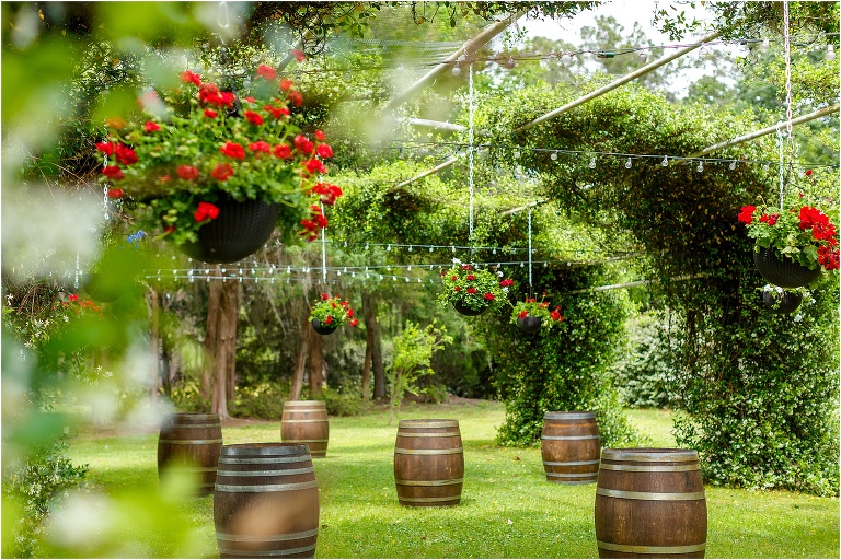 gorgeous greenery and red flowers fill a section of Bellemoor Plantation under the market lights