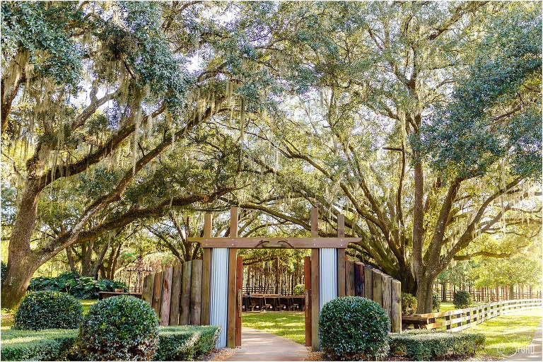 oak tree-lined ceremony site for their Club Lake Plantation wedding
