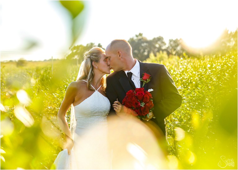 bride & groom kiss as sun shines through blueberry bushes at Central Florida winery wedding