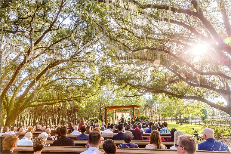 the sun shines through huge oak trees during Club Lake Plantation wedding ceremony