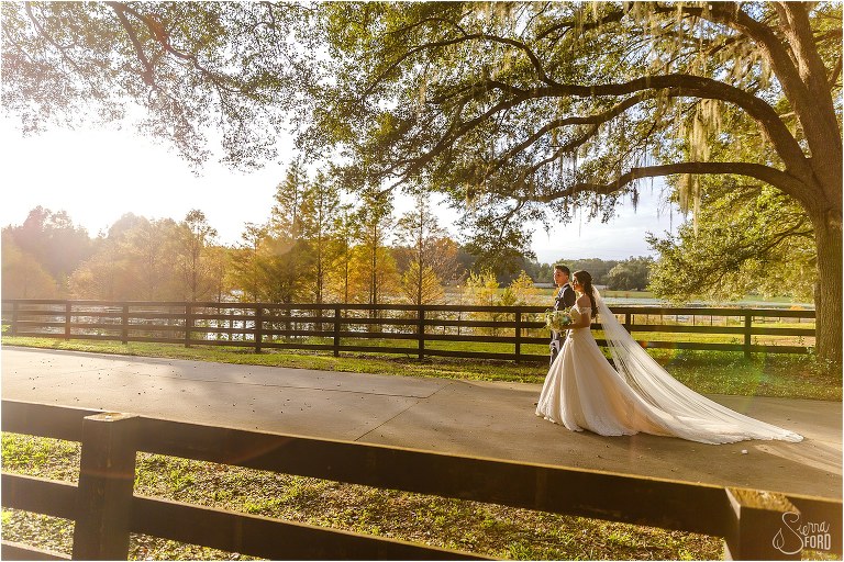 bride & groom walk into the sunset among the trees at Club Lake Plantation wedding