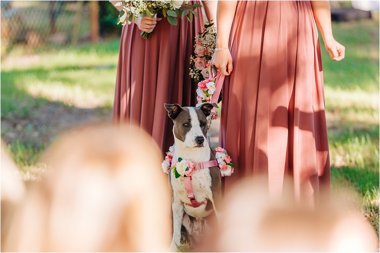 Sierra Ford Photography,