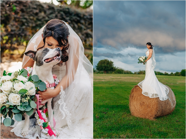 Florida photographer,Orlando Wedding Photographer,Tavares Pavilion Wedding,Tavares Photographer,