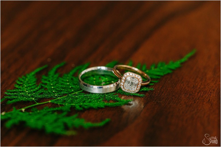 wedding rings rest on greenery at elegant backyard elopement