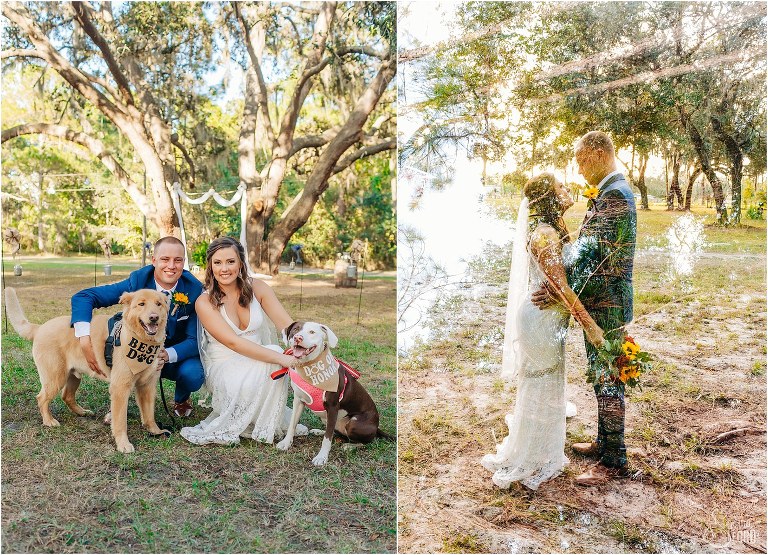 on left, bride & groom smile with their loyal dogs at DIY Florida Barn Wedding, on right, double exposure of bride & groom and the trees on their property