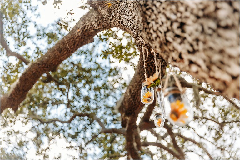 sunflowers in jars hang from oak tree where ceremony took place at DIY Florida Barn Wedding