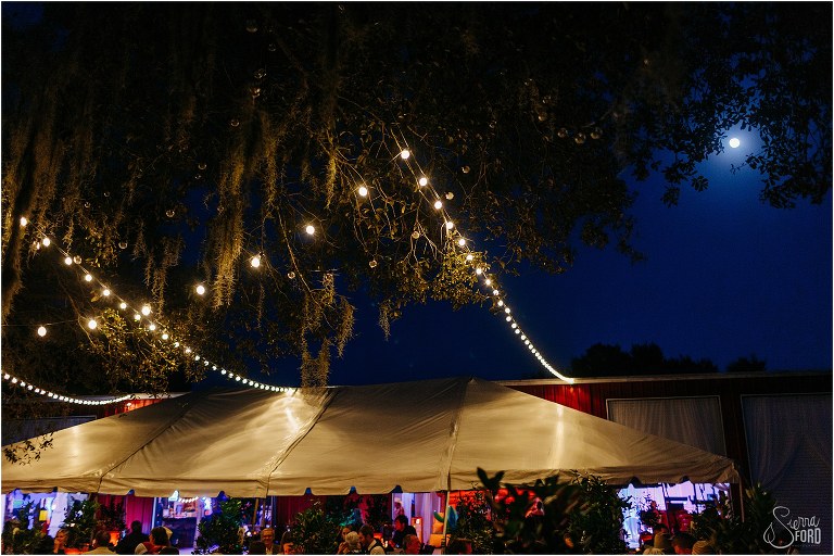 market lights shine over Horsepower Ranch wedding reception