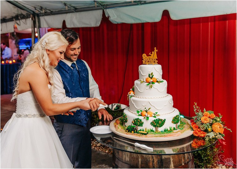 bride & groom cut citrus themed Bake Me a Cake wedding cake at Horsepower Ranch wedding