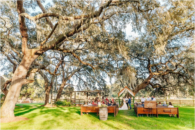 bride and groom exchange vows under giant oak trees while loved ones look on at Isola Farms wedding
