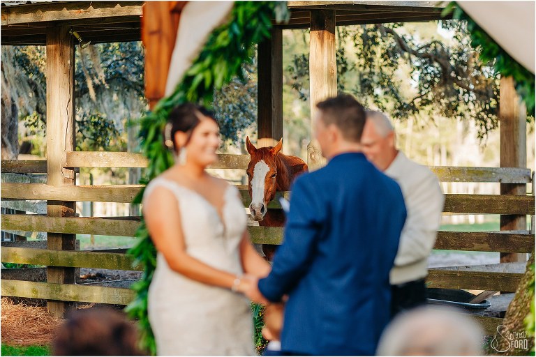 bride and groom laugh while horse neighs behind them at Isola Farms wedding ceremony