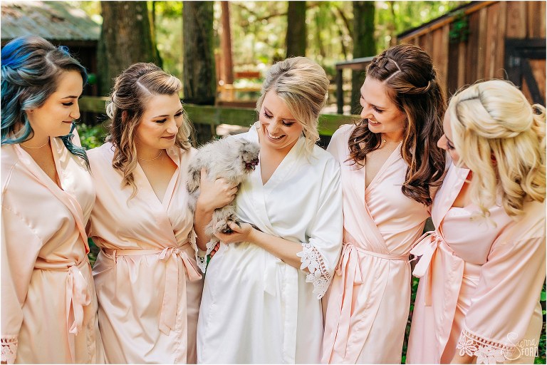 bride and bridesmaid laugh while holding baby sheep at Bridle Oaks wedding